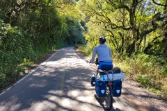 20220615_114724 20220615_114724