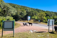 20220615_125526 20220615_125526